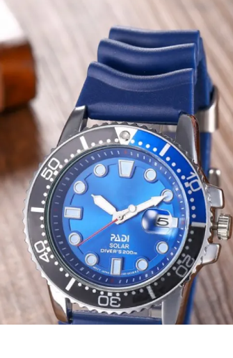 Business Men's Fine Quartz Watch