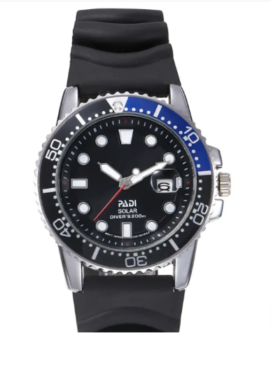 Business Men's Fine Quartz Watch